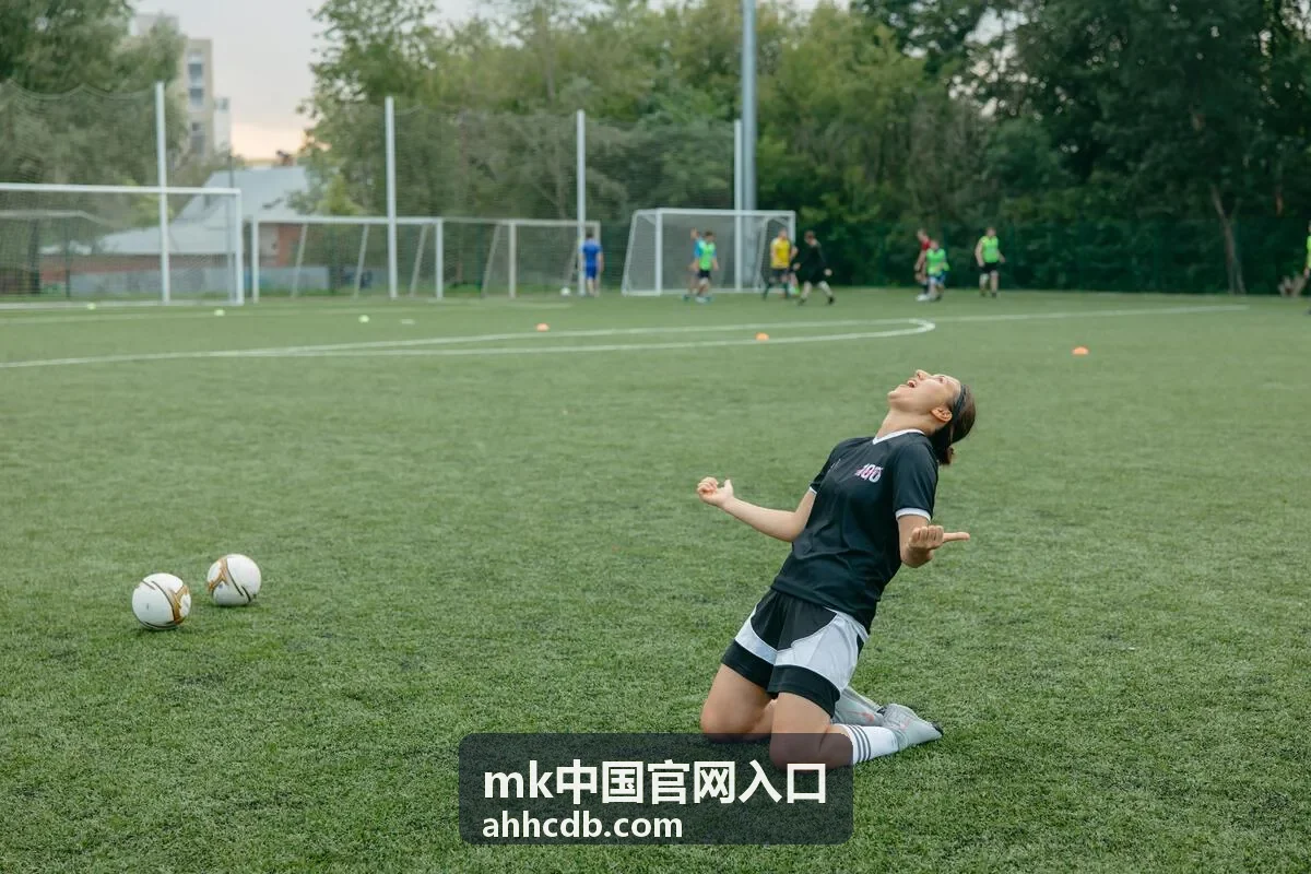 mk中国官网入口指引相关的入口路径说明
